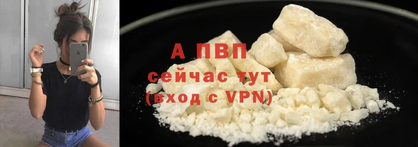дмт Новокубанск