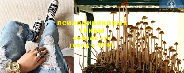экстази Аркадак