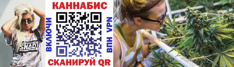 Бошки марихуана индика  Краснослободск 